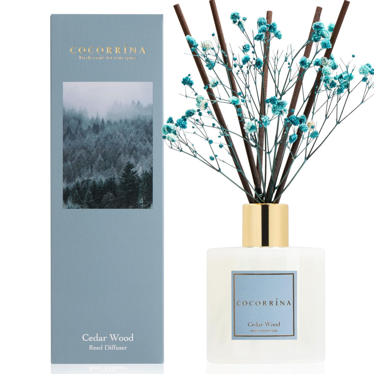 COCORRÍNA Raumduft Reed Diffuser mit 8 Duftstäbchen 200ml- Sauberes Leinen, Natürlich, Langanhaltend, Home Duft ätherisches Öl Reed Diffusor für Badezimmer Regal Dekoration