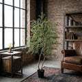 Cassia Baum Kunstpflanze 180cm – Große Deko Kunstpflanze – Pflegefreie Zimmerpflanze für Wohnzimmer Büro & Empfangsbereich