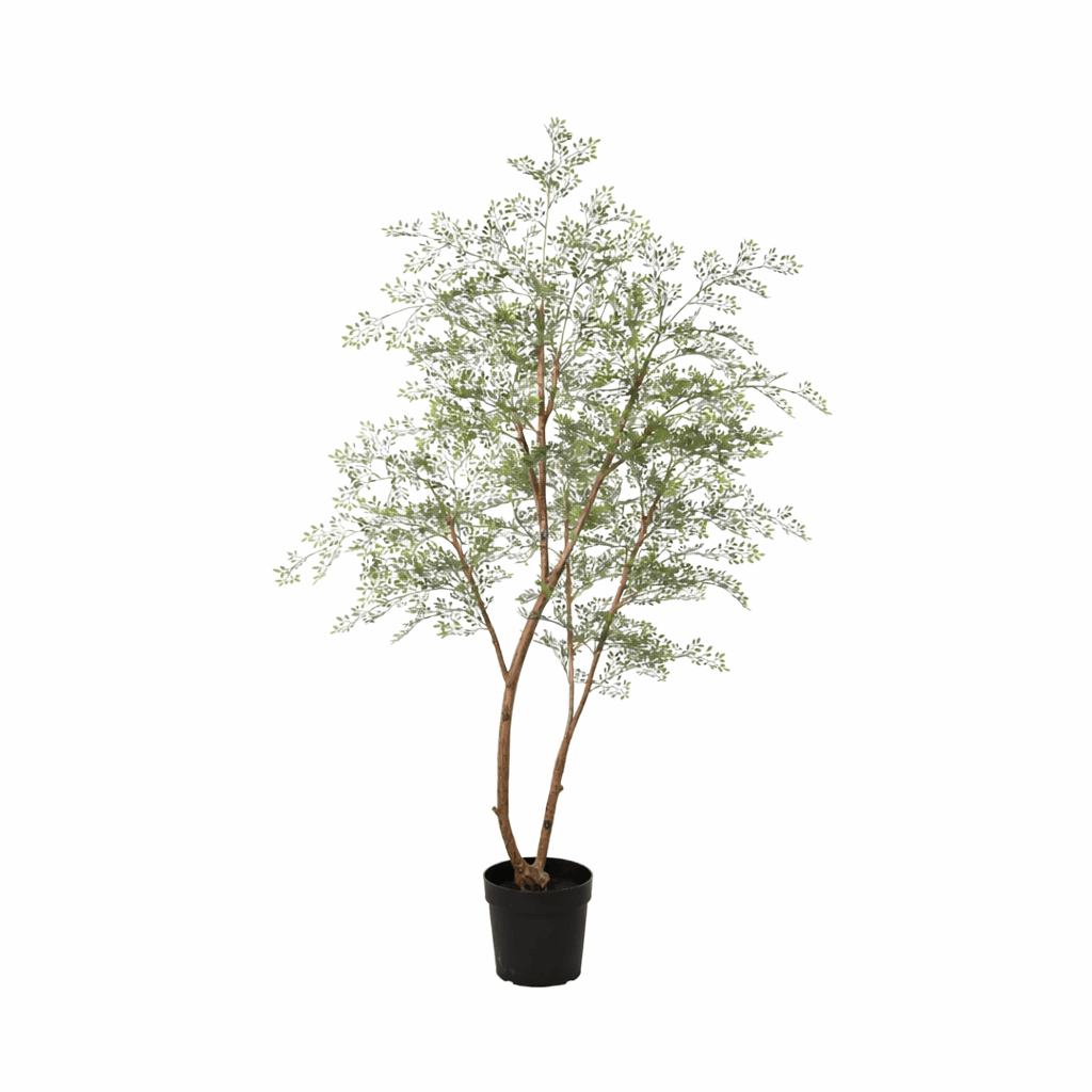 Cassia Baum Kunstpflanze 180cm – Große Deko Kunstpflanze – Pflegefreie Zimmerpflanze für Wohnzimmer Büro & Empfangsbereich