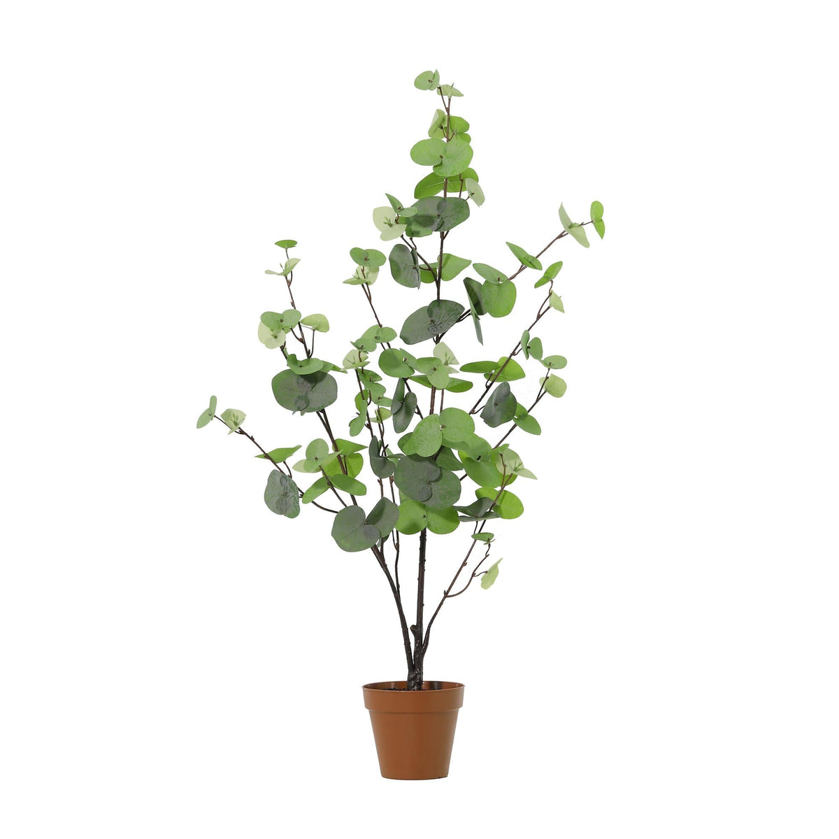 Künstlicher Eukalyptus grün 86cm dekorative Kunstpflanze für Wohnzimmer Büro Schlafzimmer Flur pflegefreie Wohnraum Deko moderne hohe Kunstpflanze