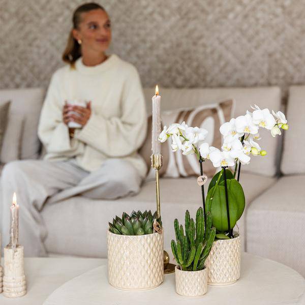 Diamant Perlen Dekotopf – Travertin – Ø9cm – Blumentopf in Steinoptik – Eleganter Dekotopf für Zimmerpflanzen, Kakteen & Sukkulenten